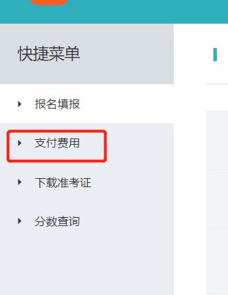 支付费用