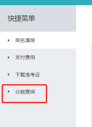 分数查询